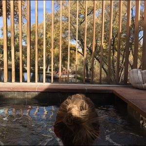 Meet your Posher, Kelsey